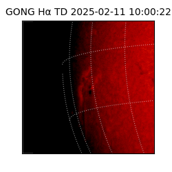 gong - 2025-02-11T10:00:22