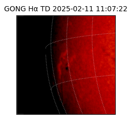 gong - 2025-02-11T11:07:22