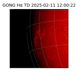 gong - 2025-02-11T12:00:22