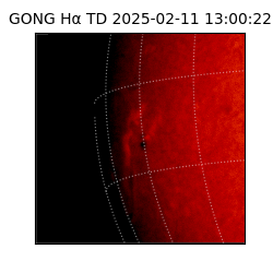gong - 2025-02-11T13:00:22
