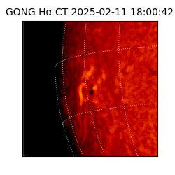 gong - 2025-02-11T18:00:42