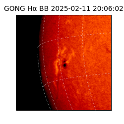 gong - 2025-02-11T20:06:02