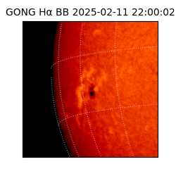 gong - 2025-02-11T22:00:02