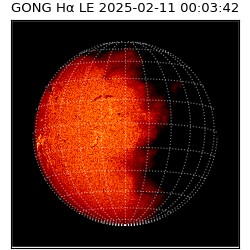 gong - 2025-02-11T00:03:42
