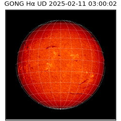 gong - 2025-02-11T03:00:02