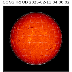 gong - 2025-02-11T04:00:02
