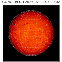 gong - 2025-02-11T05:00:02