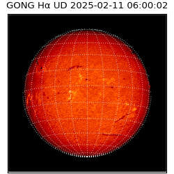 gong - 2025-02-11T06:00:02