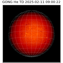 gong - 2025-02-11T09:00:22