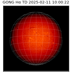 gong - 2025-02-11T10:00:22
