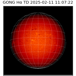 gong - 2025-02-11T11:07:22