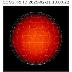 gong - 2025-02-11T13:00:22