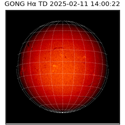 gong - 2025-02-11T14:00:22