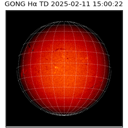 gong - 2025-02-11T15:00:22