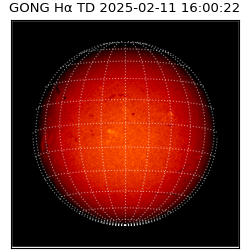 gong - 2025-02-11T16:00:22