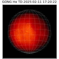 gong - 2025-02-11T17:20:22