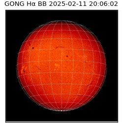 gong - 2025-02-11T20:06:02
