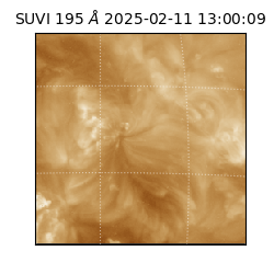 suvi - 2025-02-11T13:00:09.263000