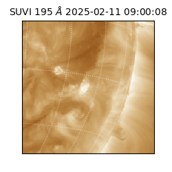 suvi - 2025-02-11T09:00:08.653000