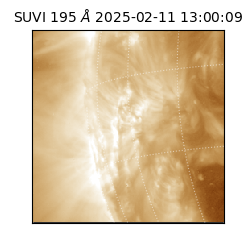 suvi - 2025-02-11T13:00:09.263000