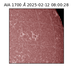 saia - 2025-02-12T08:00:28.725000