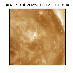 saia - 2025-02-12T11:00:04.843000