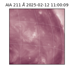 saia - 2025-02-12T11:00:09.626000