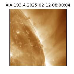saia - 2025-02-12T08:00:04.843000