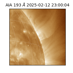 saia - 2025-02-12T23:00:04.840000