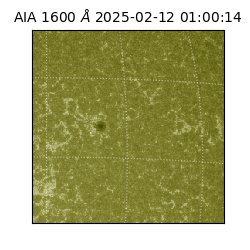 saia - 2025-02-12T01:00:14.125000