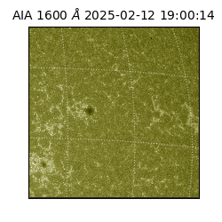 saia - 2025-02-12T19:00:14.130000