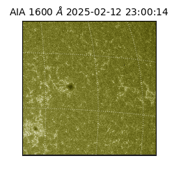 saia - 2025-02-12T23:00:14.130000