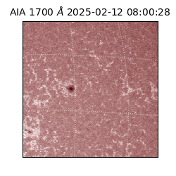 saia - 2025-02-12T08:00:28.725000