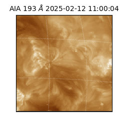 saia - 2025-02-12T11:00:04.843000