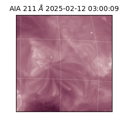 saia - 2025-02-12T03:00:09.626000
