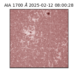 saia - 2025-02-12T08:00:28.725000
