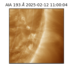 saia - 2025-02-12T11:00:04.843000