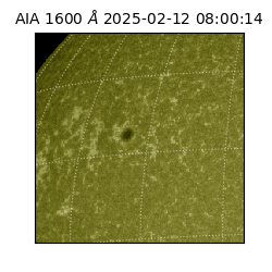 saia - 2025-02-12T08:00:14.125000