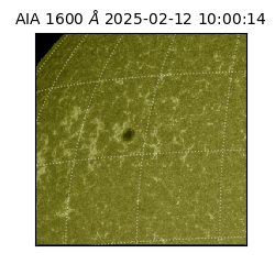 saia - 2025-02-12T10:00:14.116000