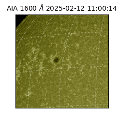 saia - 2025-02-12T11:00:14.125000