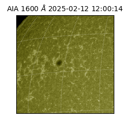 saia - 2025-02-12T12:00:14.125000