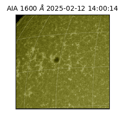 saia - 2025-02-12T14:00:14.125000