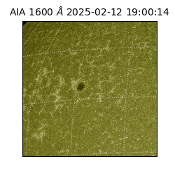 saia - 2025-02-12T19:00:14.130000