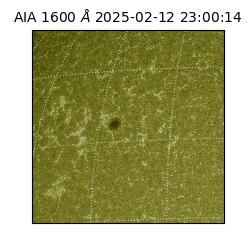 saia - 2025-02-12T23:00:14.130000