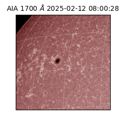 saia - 2025-02-12T08:00:28.725000