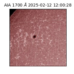 saia - 2025-02-12T12:00:28.717000