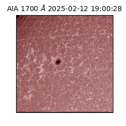 saia - 2025-02-12T19:00:28.720000