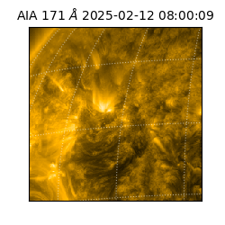 saia - 2025-02-12T08:00:09.350000