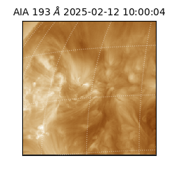 saia - 2025-02-12T10:00:04.835000