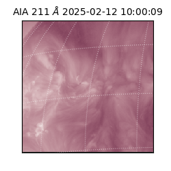 saia - 2025-02-12T10:00:09.618000